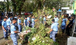 44d2d16d-aaa1-4f6e-913e-6fdeea0775bc