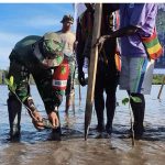 Bersatu Dengan Alam, Satgas TMMD Kodim 1710/Mimika Tanam Ribuan Bibit Mangrove