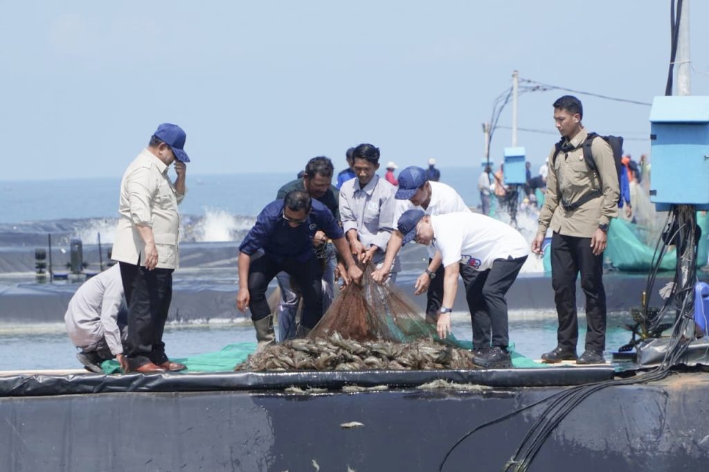 Panglima TNI Dampingi Presiden RI Prabowo Subianto Panen Raya Udang di Kebumen