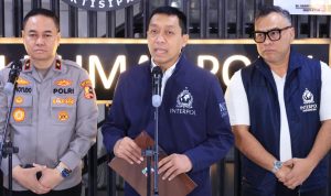 Interpol Interpol