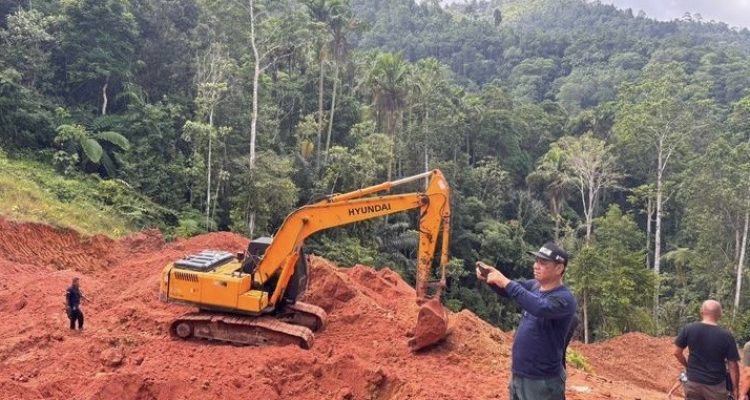 Tambang emas ilegal