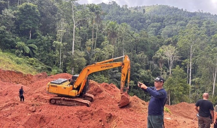 Tambang emas ilegal
