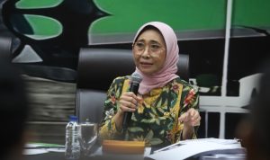 Hetifah Sjaifudian