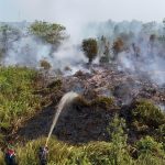 Kebakaran Hutan