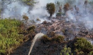 Kebakaran Hutan