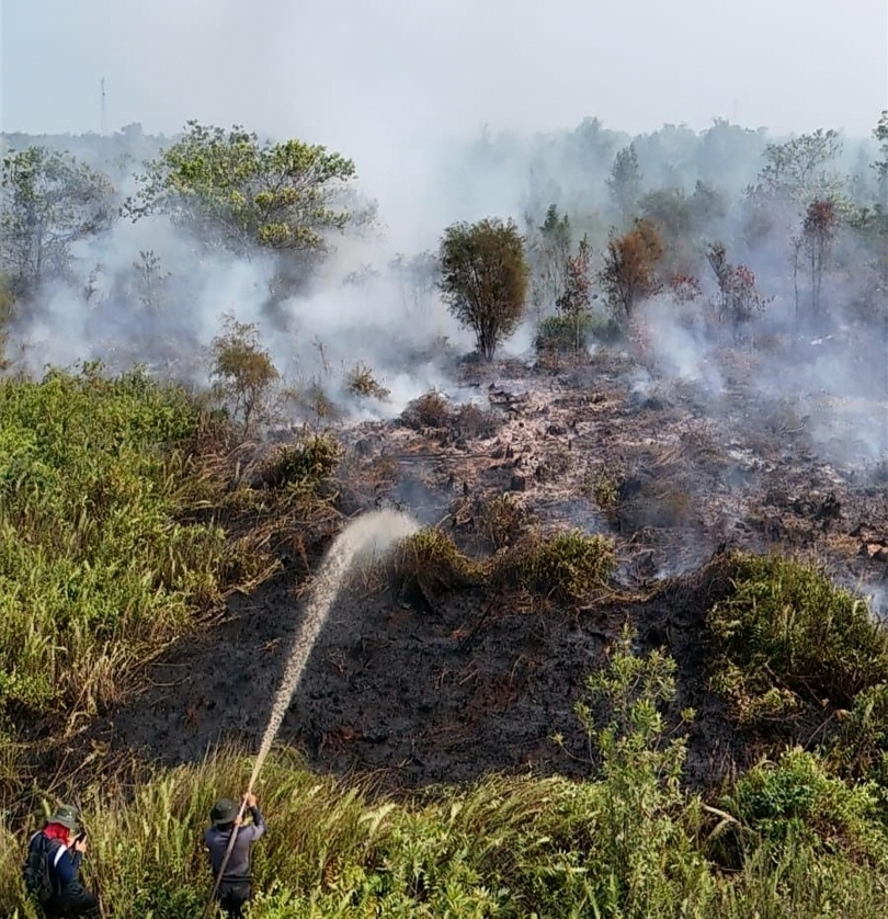 Kebakaran Hutan