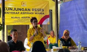Nurul Arifin