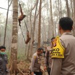 Polri 7
